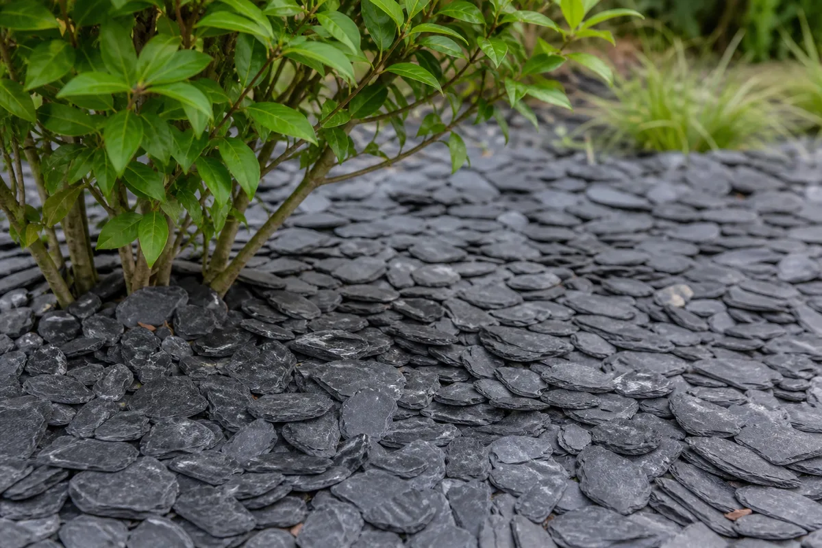 Paillage d'ardoise concassée : calibres, tonnage et pose